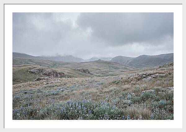 Pristine Alpine Meadow