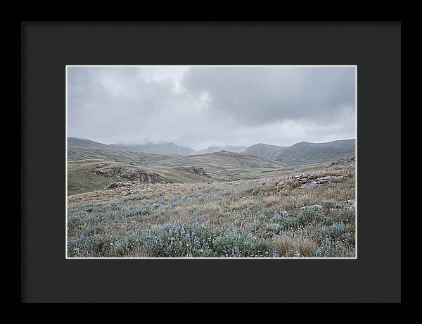 Pristine Alpine Meadow