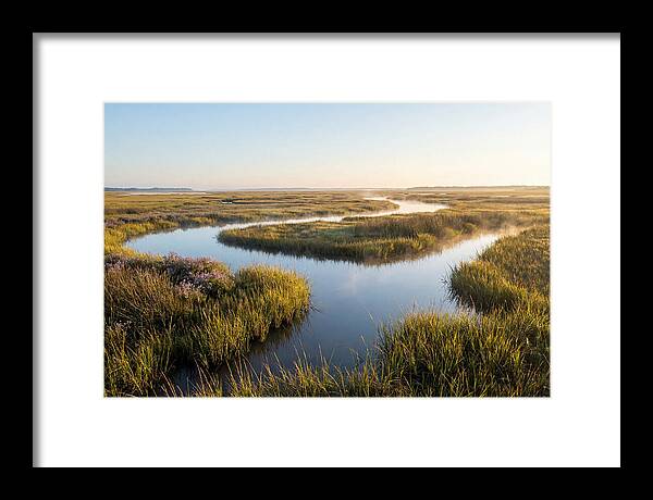 Pristine Wetland Serenity