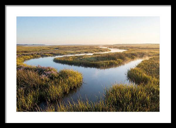 Pristine Wetland Serenity