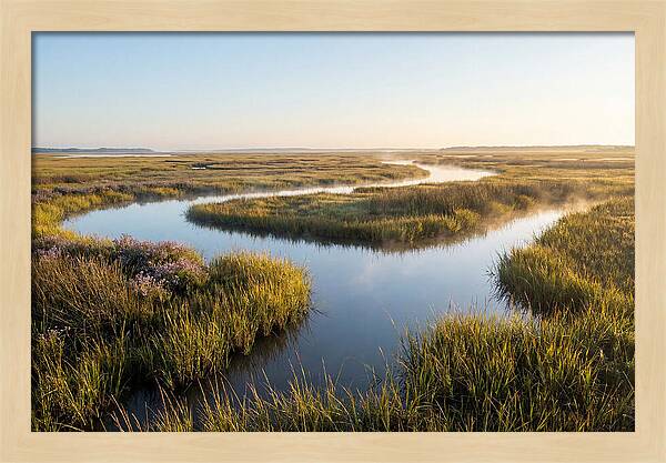 Pristine Wetland Serenity
