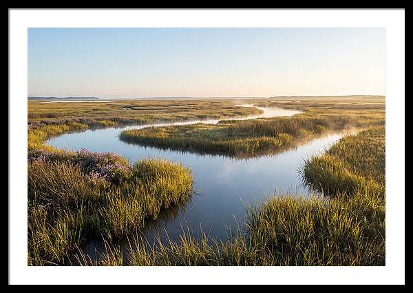 Pristine Wetland Serenity