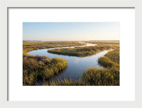 Pristine Wetland Serenity
