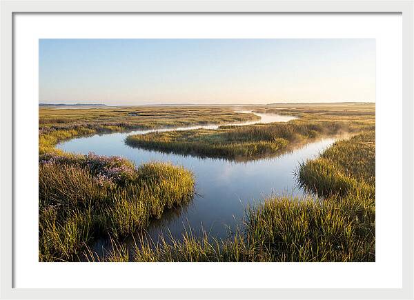 Pristine Wetland Serenity