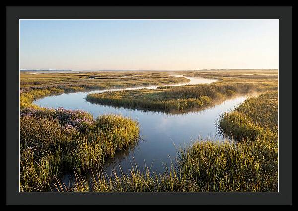 Pristine Wetland Serenity