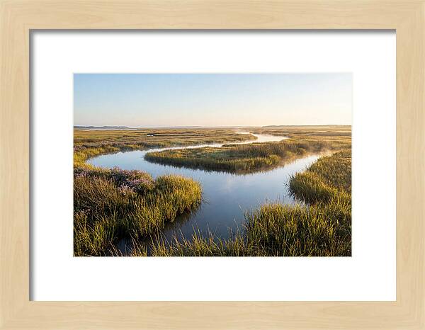 Pristine Wetland Serenity