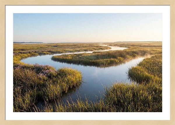 Pristine Wetland Serenity