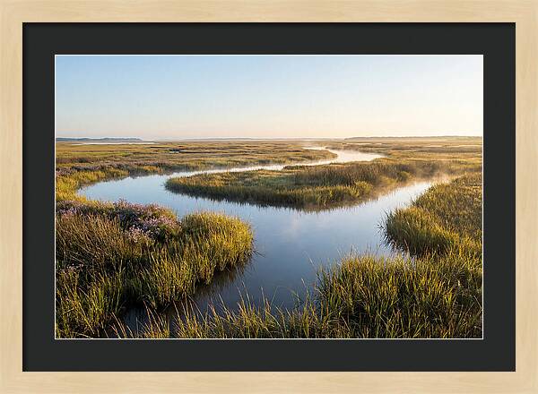Pristine Wetland Serenity