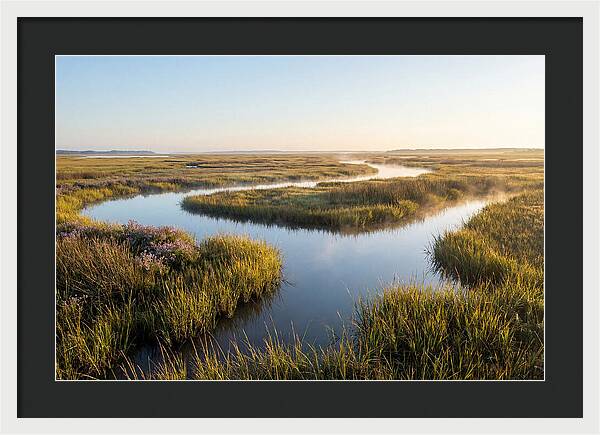 Pristine Wetland Serenity