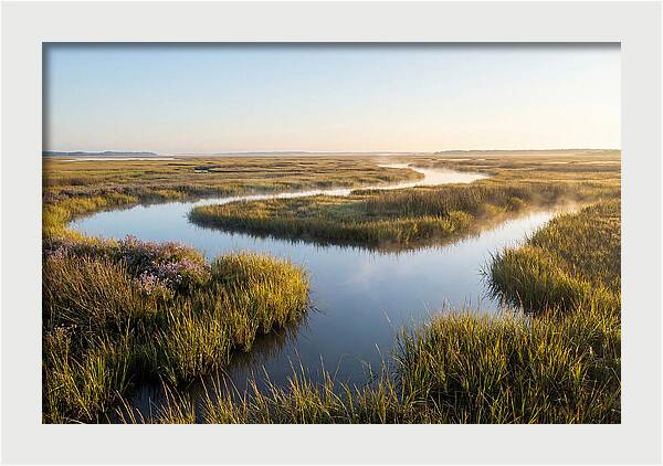 Pristine Wetland Serenity