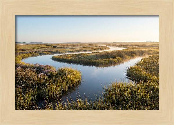 Pristine Wetland Serenity