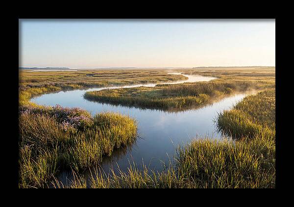 Pristine Wetland Serenity