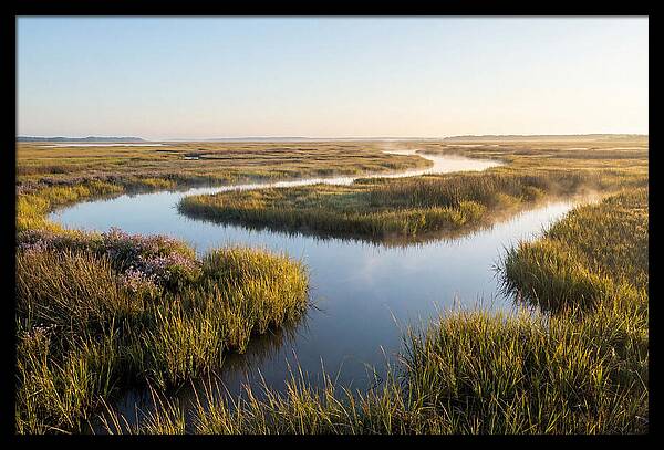 Pristine Wetland Serenity