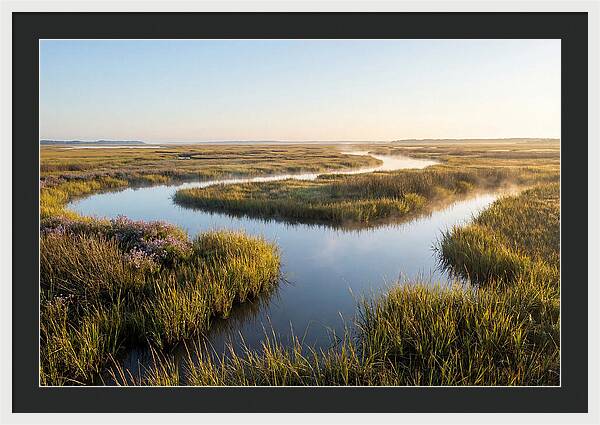 Pristine Wetland Serenity