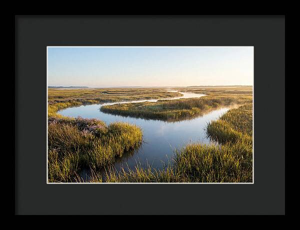 Pristine Wetland Serenity