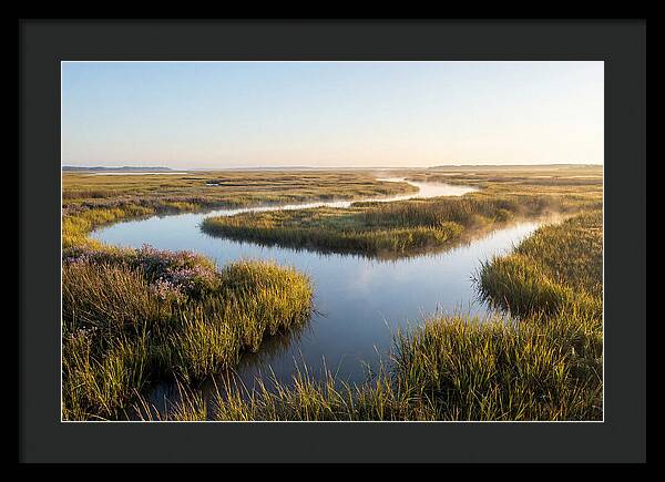 Pristine Wetland Serenity