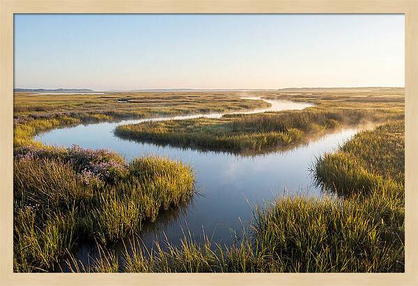 Pristine Wetland Serenity