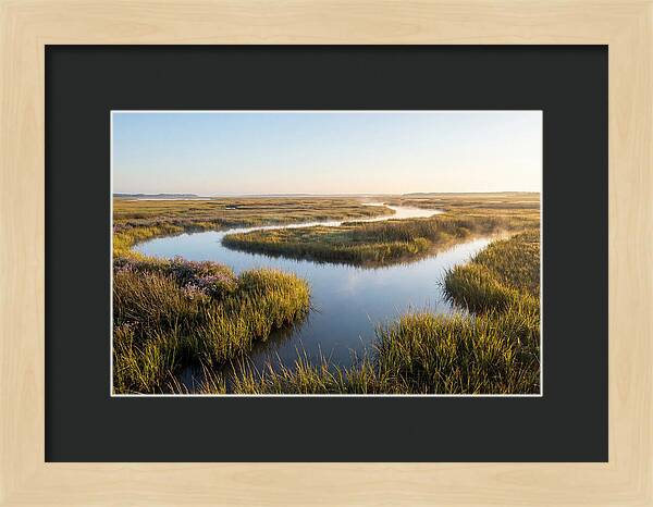 Pristine Wetland Serenity