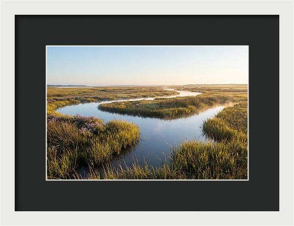 Pristine Wetland Serenity