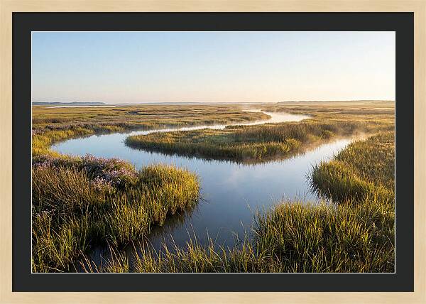 Pristine Wetland Serenity