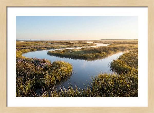 Pristine Wetland Serenity