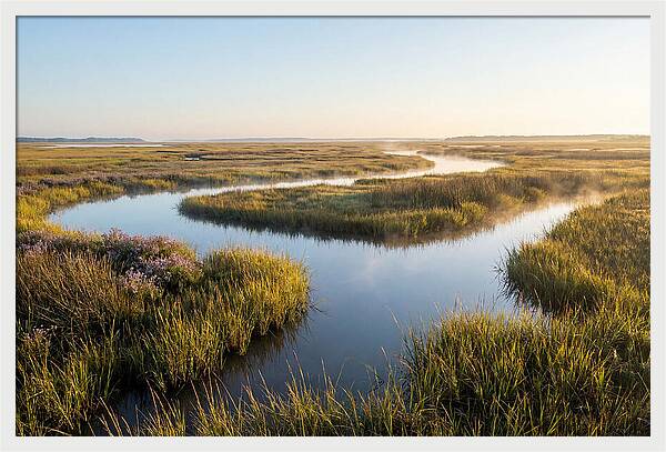 Pristine Wetland Serenity