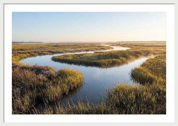 Pristine Wetland Serenity