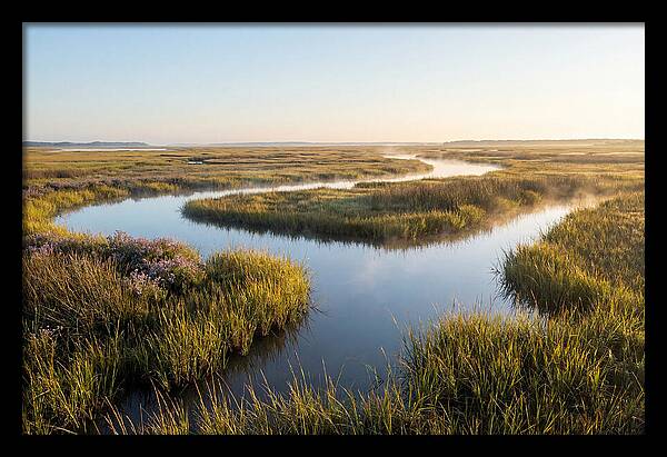Pristine Wetland Serenity