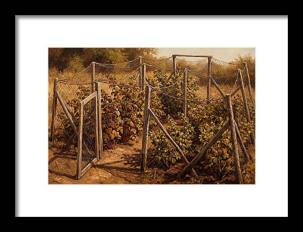 Productive Fruit Cage