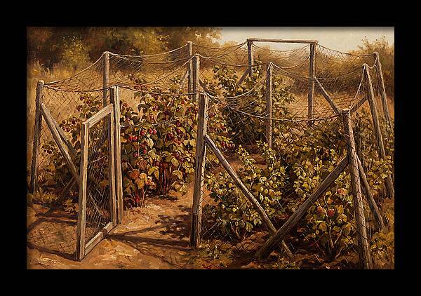Productive Fruit Cage