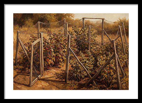 Productive Fruit Cage