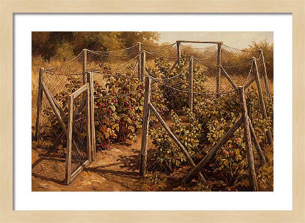 Productive Fruit Cage