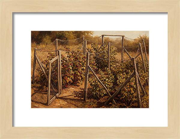 Productive Fruit Cage