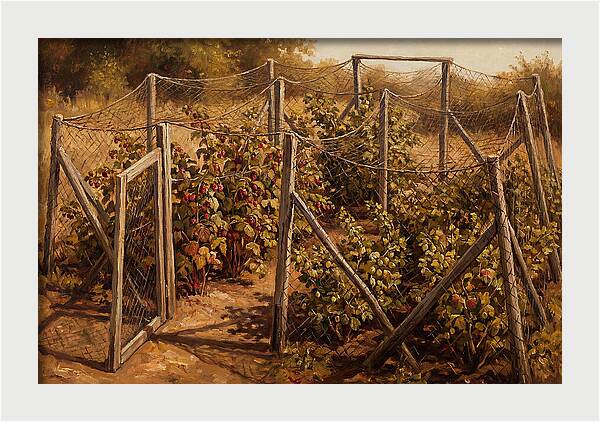 Productive Fruit Cage