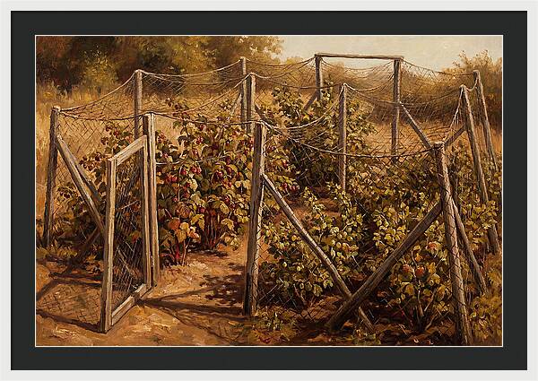Productive Fruit Cage