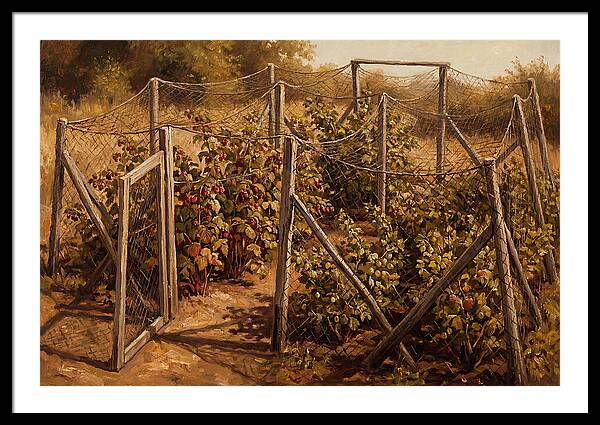 Productive Fruit Cage