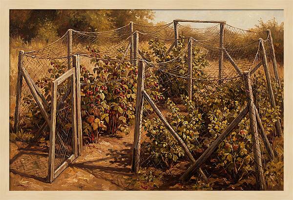 Productive Fruit Cage