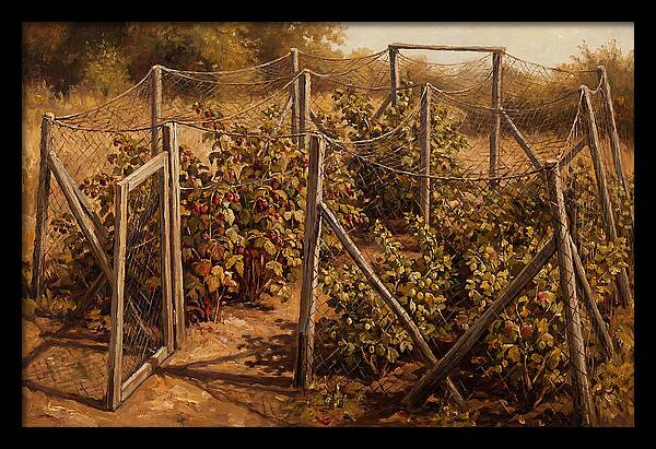 Productive Fruit Cage