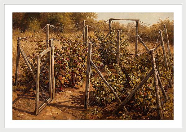 Productive Fruit Cage