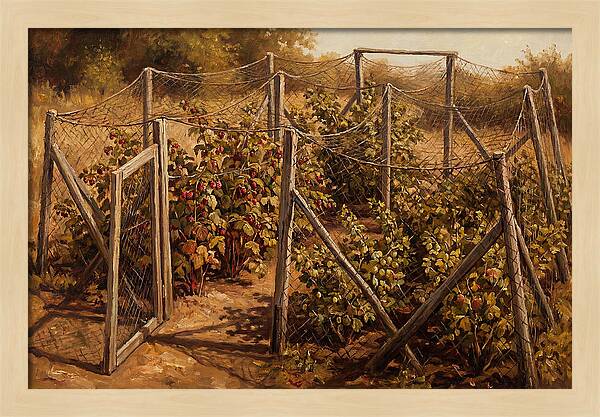Productive Fruit Cage