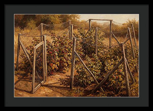 Productive Fruit Cage