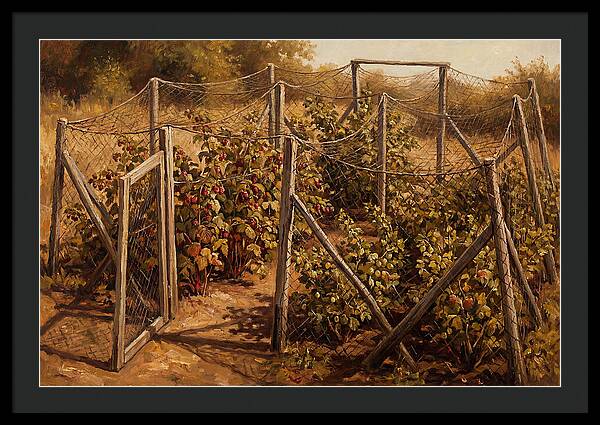 Productive Fruit Cage