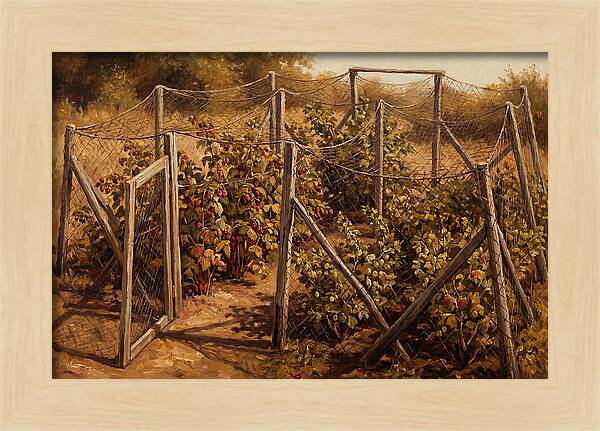 Productive Fruit Cage