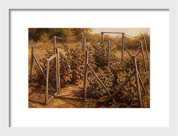 Productive Fruit Cage