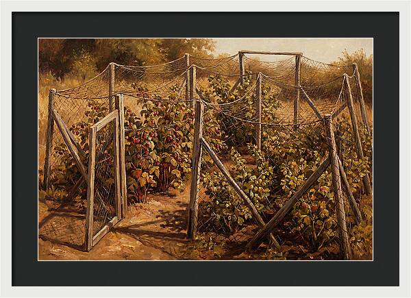 Productive Fruit Cage