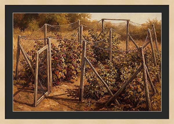 Productive Fruit Cage