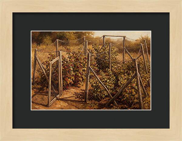 Productive Fruit Cage