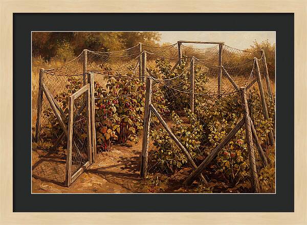 Productive Fruit Cage