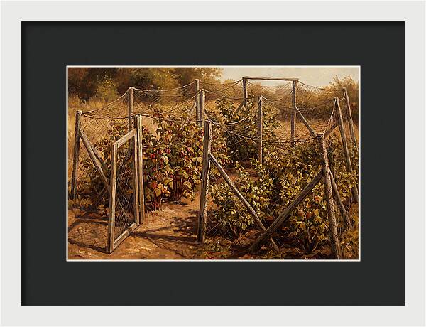 Productive Fruit Cage