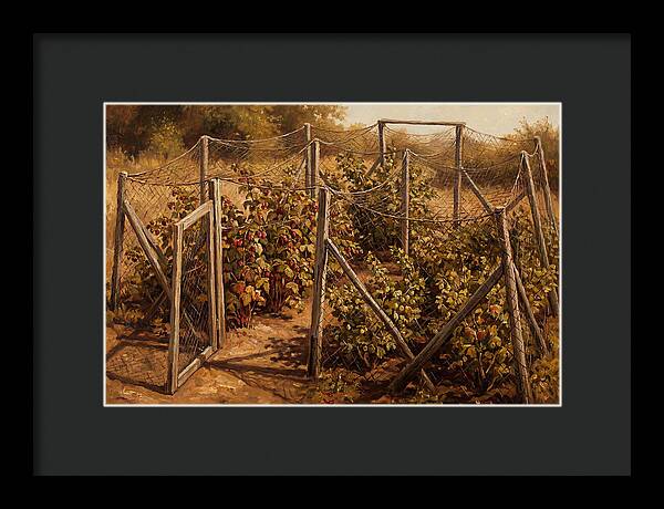 Productive Fruit Cage